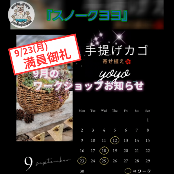 🏠モデルハウスコラボ企画！「多肉植物寄せ植え」満員御礼🏠